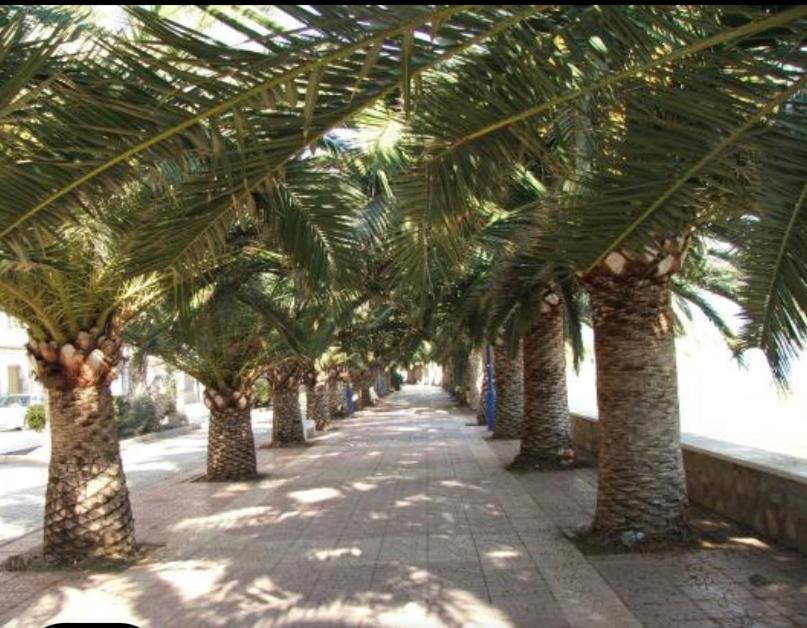Vcc Home'S El Puerto de Mazarrón エクステリア 写真